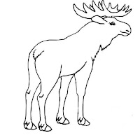 Mamíferos (16).jpg