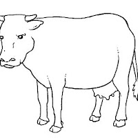 Mamíferos (280).jpg
