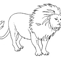 Mamíferos (177).jpg
