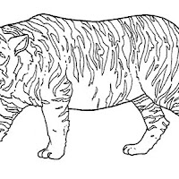Mamíferos (264).jpg