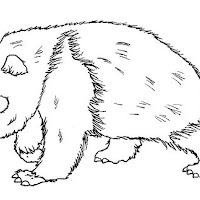 Mamíferos (226).jpg