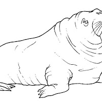 Mamíferos (202).jpg