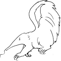 Mamíferos (214).JPG
