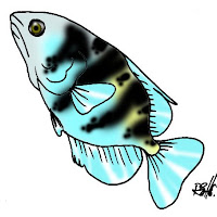 Peces (15).jpg