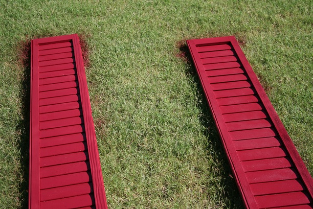 [20090801_38972.jpg]