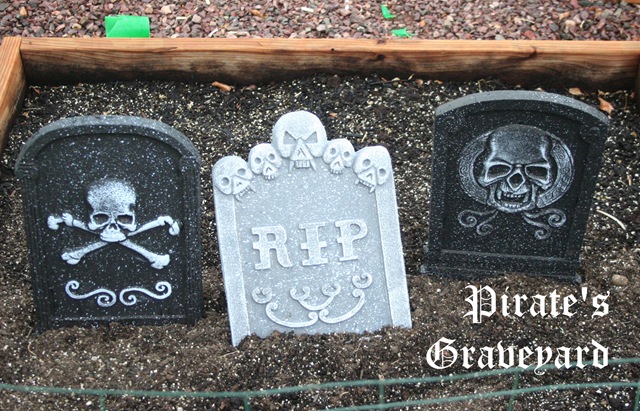 [20090906_0431[5].jpg&description=A Pirate’s Party for Me!')]
