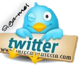 http://lh5.ggpht.com/_LICi0eKoulE/SkqCDltQ6jI/AAAAAAAACwQ/pAznE3usMeY/twitter.png