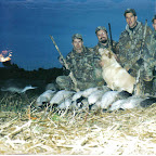 geese4.jpg