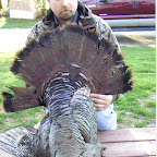trophyturk1.jpg