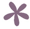 [plum flower[8].jpg]