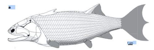 Image 4.png