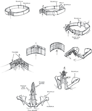 spabfig6.jpg