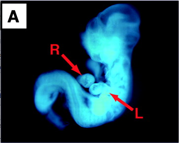 Capture d’écran 2011-02-05 à 10.38.53.png