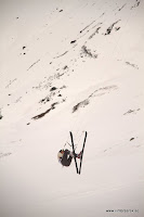 _MG_2317.jpg