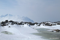 _MG_4691.jpg