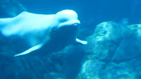 IMG_0813.jpg