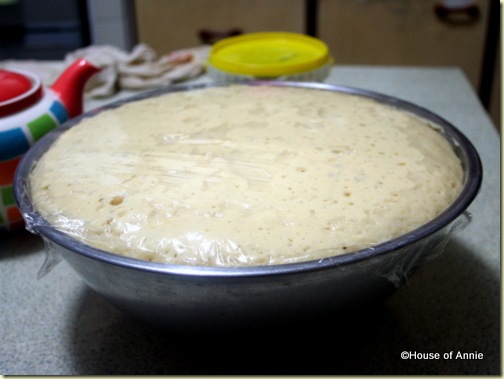 no knead brioche dough rising