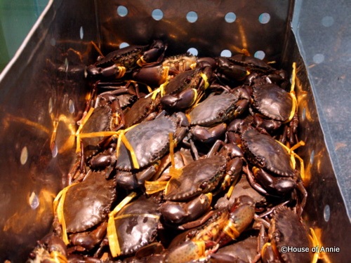 [livecrabsatRockRoadSeafood2.jpg]