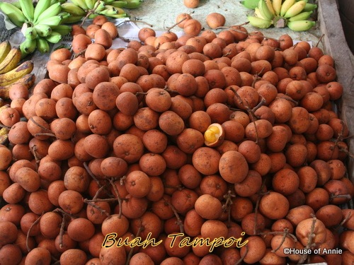 [buah tampoi[2].jpg]
