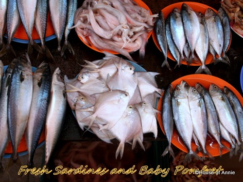 [sardines and baby pomfrets[2].jpg]