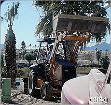 P1080354h P1080354h