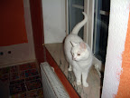 100102-DSC09176.jpg
