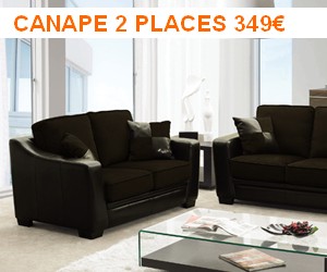 Canape 2 places