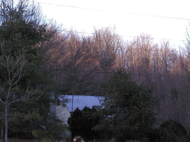 [jan2708 044[6].jpg]