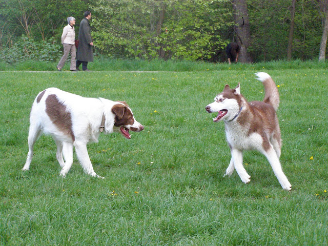 Качена снимка