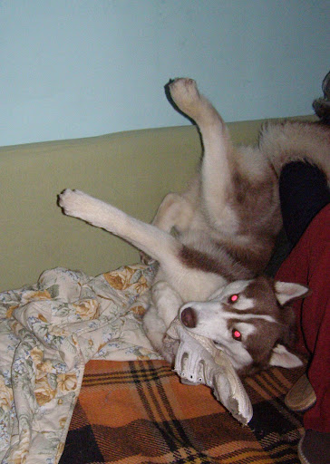 Качена снимка