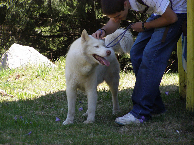 Качена снимка