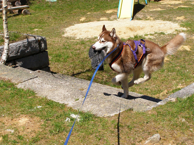 Качена снимка