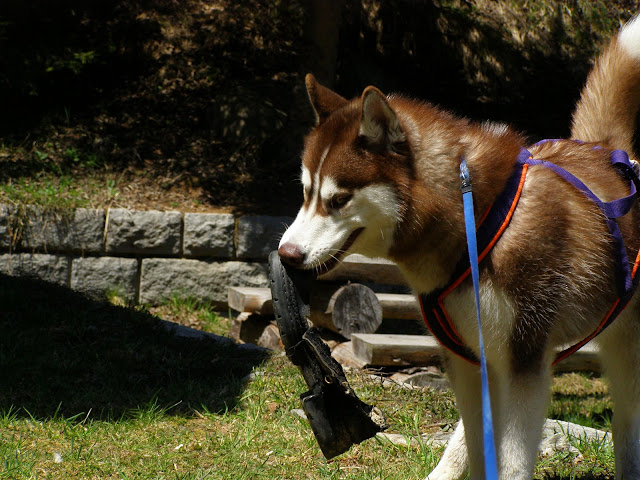 Качена снимка