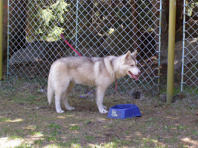 Качена снимка