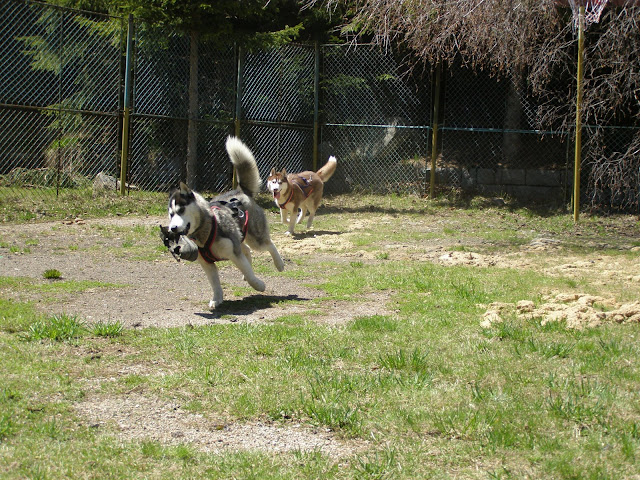 Качена снимка