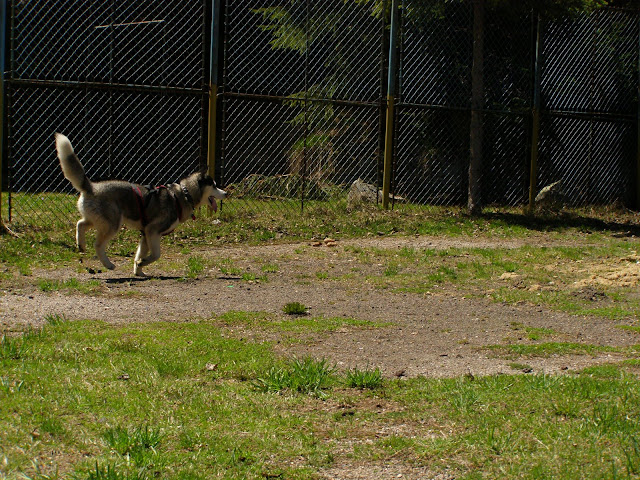 Качена снимка