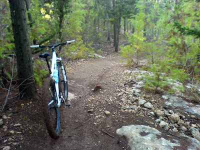 31843665.jpg