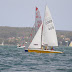 PA243843.jpg