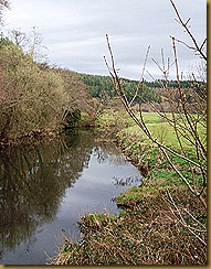 River Taw from Eggesford Bridge