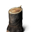 wwf_43.jpg