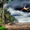 wwf_11.jpg