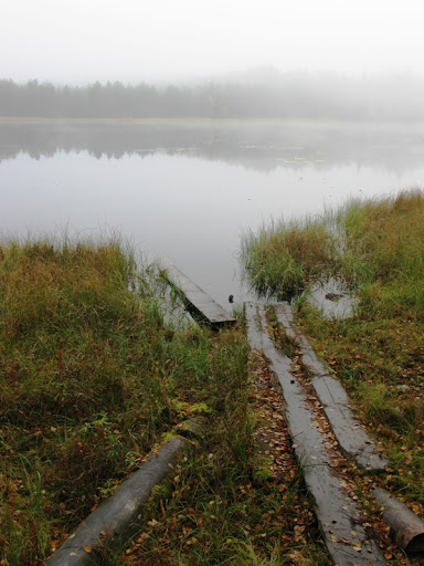Usvainen aamulaituri Usvainen aamulaituri