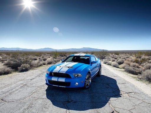 2011 Shelby GT500 Shelby GT500