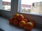 DSC03053.JPG
