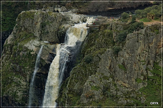 *Pozo de los Humos (Pereña de la Ribera) 19/01/2011 - 12000 Horizontes