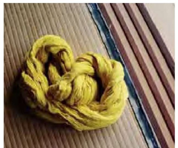 Dyed yellow from Miscanthus tinctorius, a bit of homespun material sits on a tatami mat (woven from native Juncus species) in Hiroyuki Shindo's historic thatch-roofed house in Kitamura. 