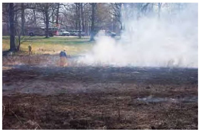 The Louisville (Kentucky) Fire Department is close at hand for this controlled burn of Iroquois Park's Summit Field grasses by the Louisville Olmsted Parks Conservancy and Metro Parks. 