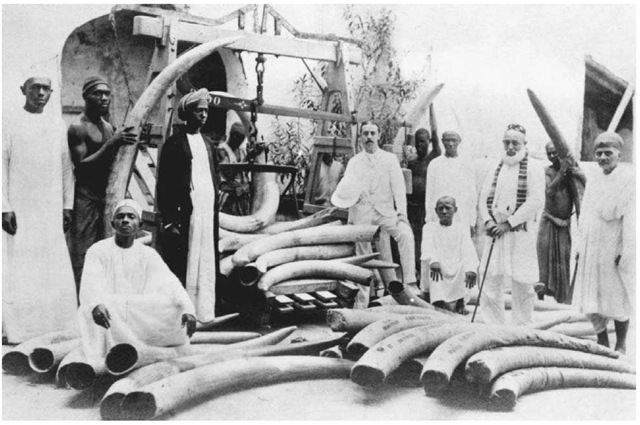 Late Nineteenth-Century Ivory Traders in Zanzibar. Next to the slave trade, trade in ivory was the most profitable enterprise in Zanzibar during the nineteenth century. 