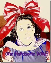 bow-1