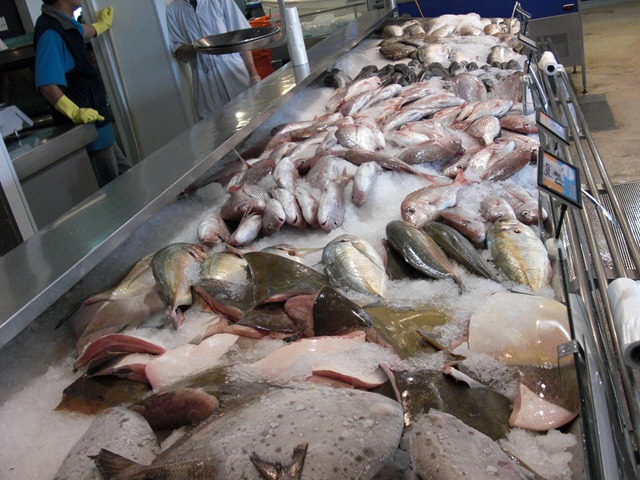 [AUKandWaihekeIsland20100039.jpg]